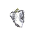 Ween - White Pepper (Limited Edition) - LP [ Record ]