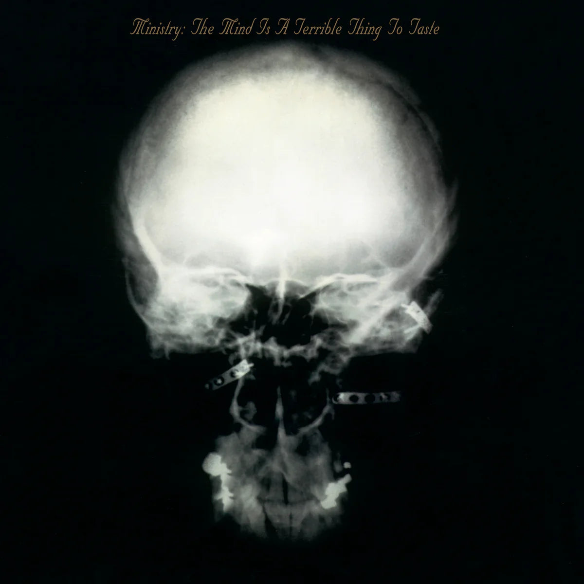 Ministry - The Mind is a Terrible Thing to Taste (Expanded) - Rocktober LP [ Record ]