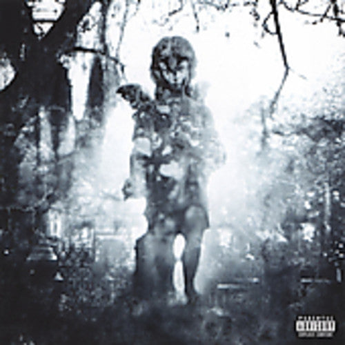 Machine Head: Through the Ashes of Empires - CD