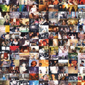 Black Dice: Miles of Smiles - 12-INCH SINGLE