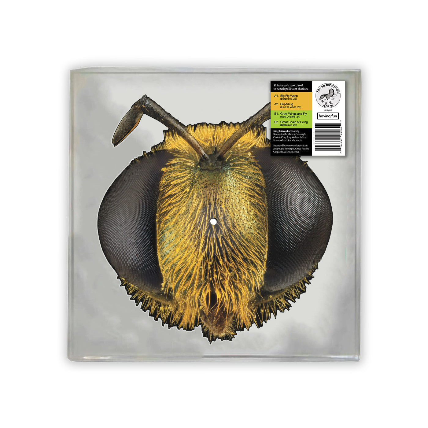 King Gizzard & The Lizard Wizard - Big Fig Wasp - RSD Bee EP [ Record ]