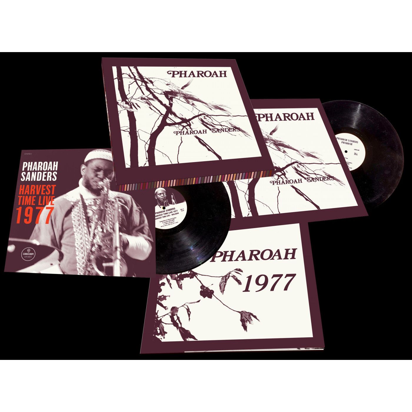 Pharoah Sanders - Pharoah - LP [ Record ]