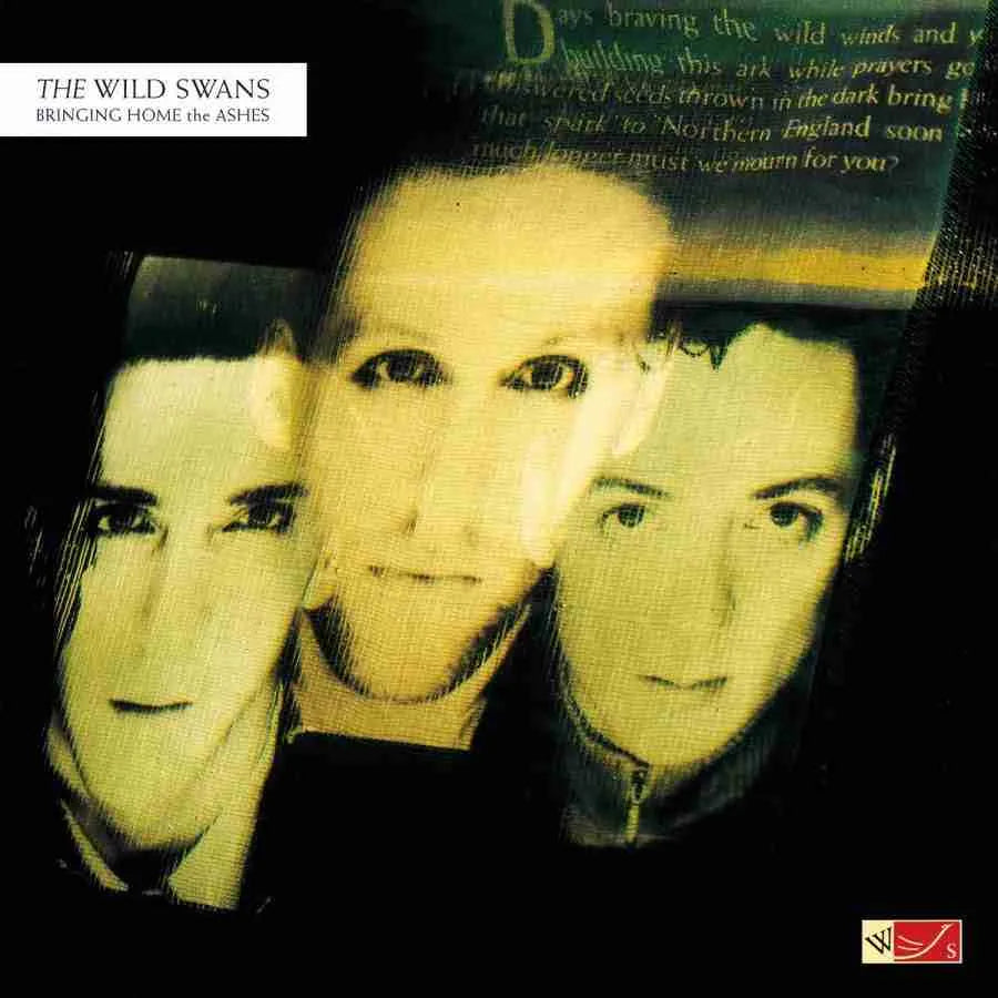 The Wild Swans - Bringing Home The Ashes (Limited Edition) - Music On Vinyl LP [ Record ]