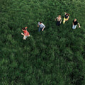 Parcels - Loved - Indie LP [ Record ]