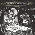 Okkervil River: Black Sheep Boy [ Vinyl ]