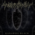 Nechochwen: Kanawha Black - VINYL