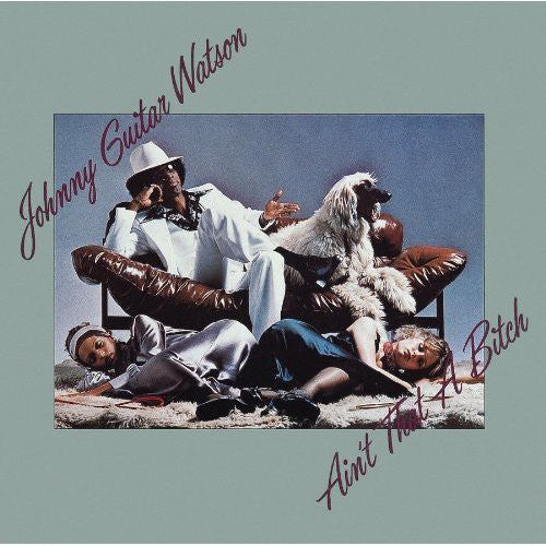 Johnny Watson Guitar: Ain't That a Bitch { CD }
