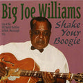 Big Joe Williams: Shake Your Boogie - COMPACT DISCS