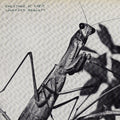 Courtney Barnett - Creature of Habit - LP [ Record ]