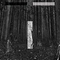 Chris Liebing: Another Day [ Vinyl ]