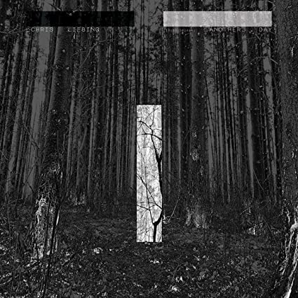 Chris Liebing: Another Day [ Vinyl ]