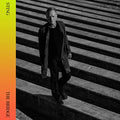 Sting - The Bridge - LP [ Record ]