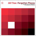 Alif Tree: Forgotten Places (Moodymann Remix) - VINYL
