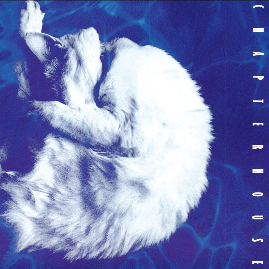 Chapterhouse - Whirlpool - Music On Vinyl LP [ Record ]