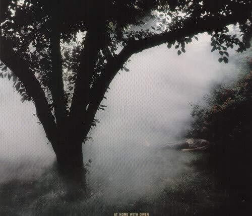 Owen: At Home with Owen [ Vinyl ]