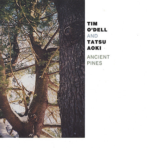 Tim O'Dell: Ancient Pines - CD