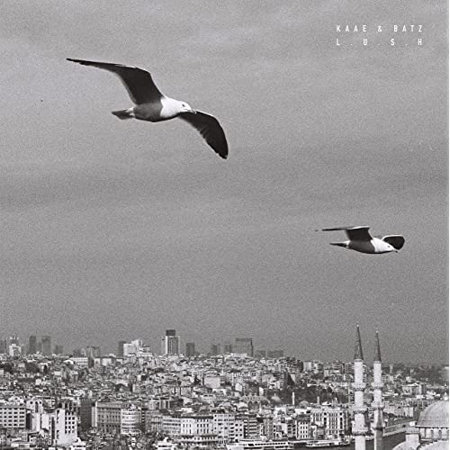 Kaae & Batz: Lush [ Vinyl ]