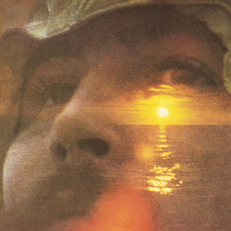 David Crosby - If I Could Only Remember My Name - Analogue Productions 45rpm LP [ Record ]
