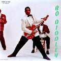 Bo Diddley - Bo Diddley - Acoustic Sounds Series LP [ Record ]