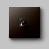 Roger Waters - The Dark Side of the Moon Redux - Box Set [ Record ]