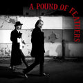 The Black Crowes - A Pound of Feathers - LP [ Record ]