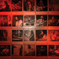 Chris Cornell - No One Sings Like You Anymore - Picture Disc LP [ Record ]