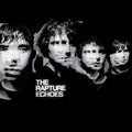 The Rapture - Echoes - LP [ Record ]
