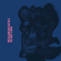 Pino Palladino & Blake Mills - That Wasn't a Dream - LP [ Record ]