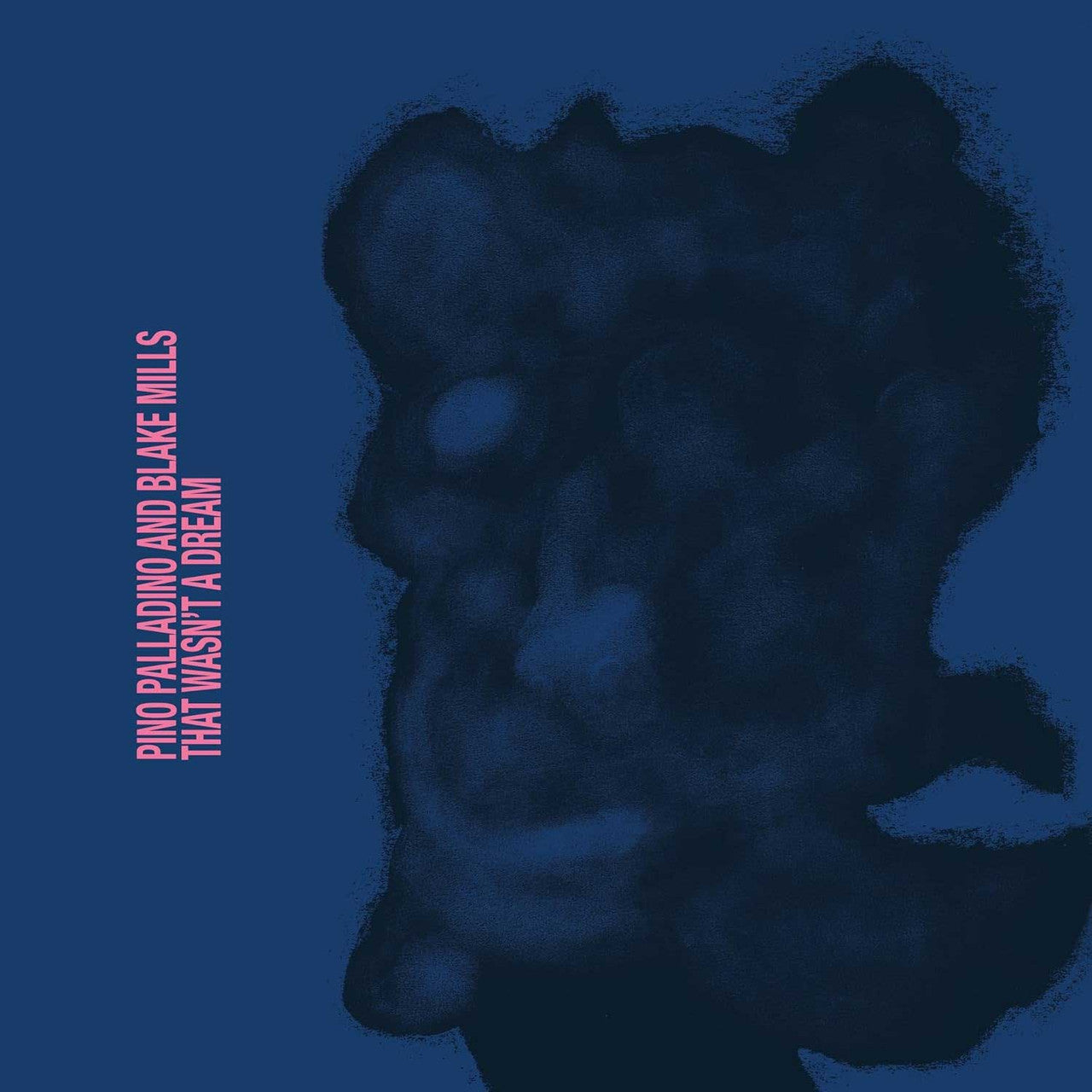 Pino Palladino & Blake Mills - That Wasn't a Dream - LP [ Record ]