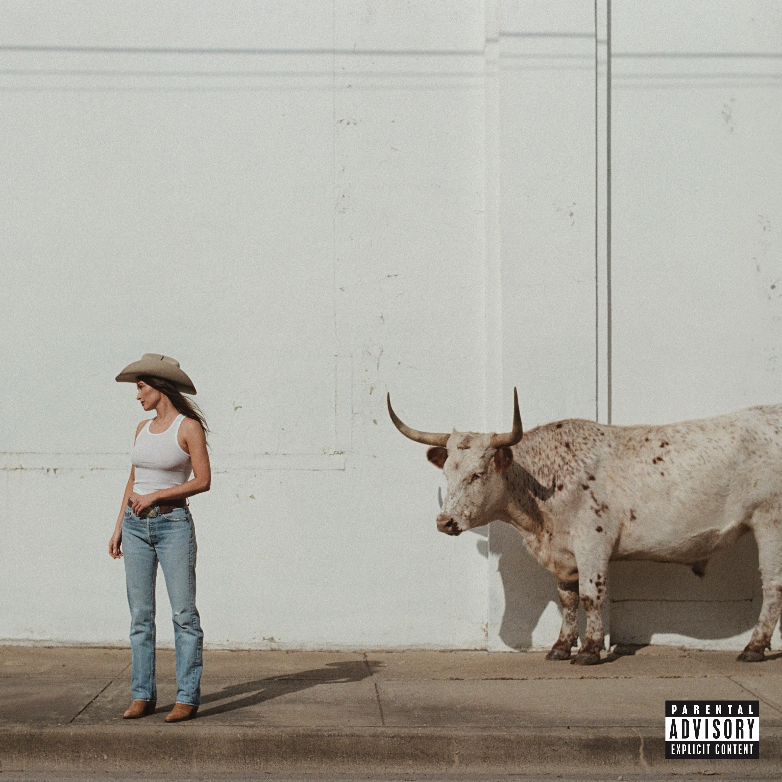 Kacey Musgraves - Middle Of Nowhere - LP [ Record ]