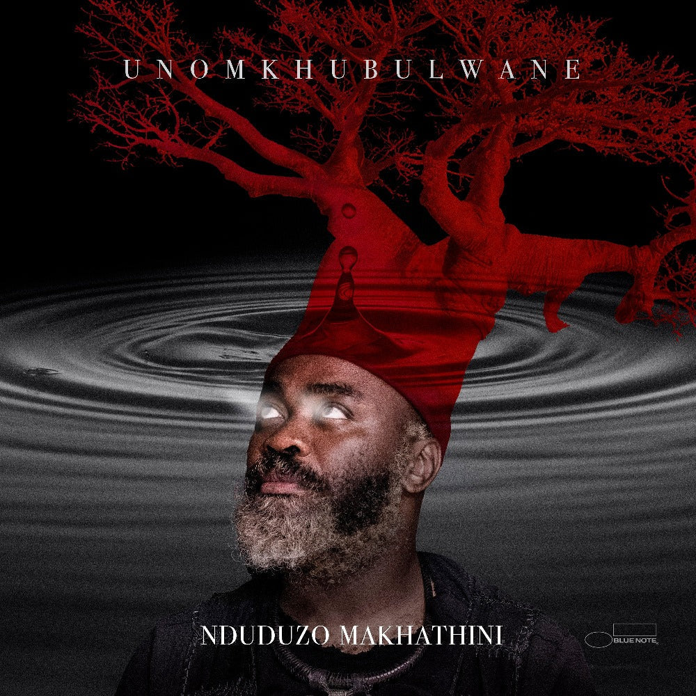 Nduduzo Makhathini - uNomkhubulwane - LP [ Record ]