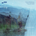 Nate Mercereau, Josh Johnson, Carlos Niño - Openness Trio - LP [ Record ]