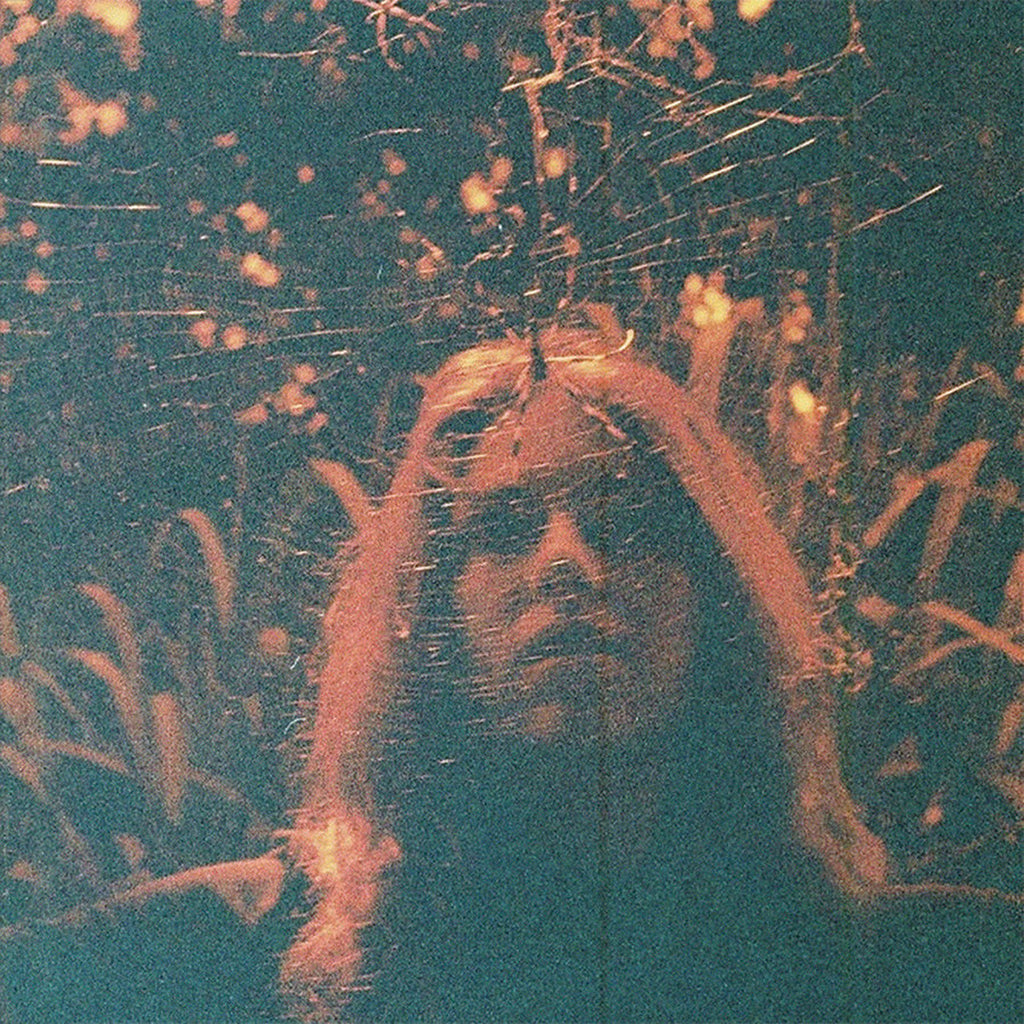 Turnover - Peripheral Vision - LP [ Record ]