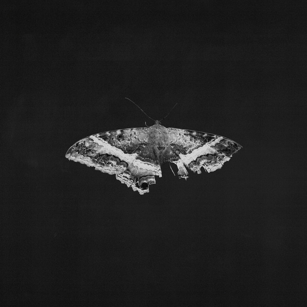 Kendrick Lamar - To Pimp A Butterfly (10th Anniversary) - LP [ Record ]