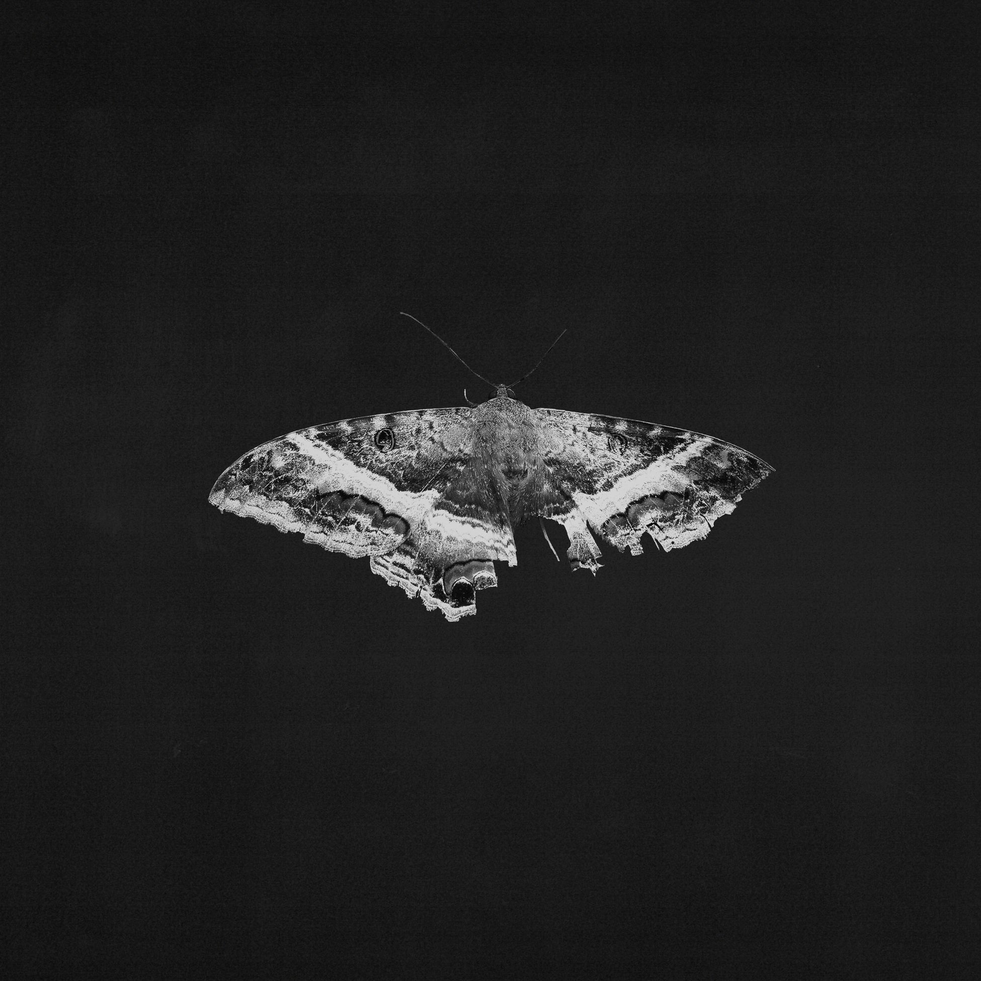 Kendrick Lamar - To Pimp A Butterfly (10th Anniversary) - LP [ Record ]