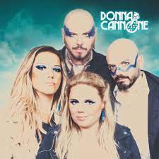 Donna Cannone - Donna Cannone - Indie LP [ Record ]