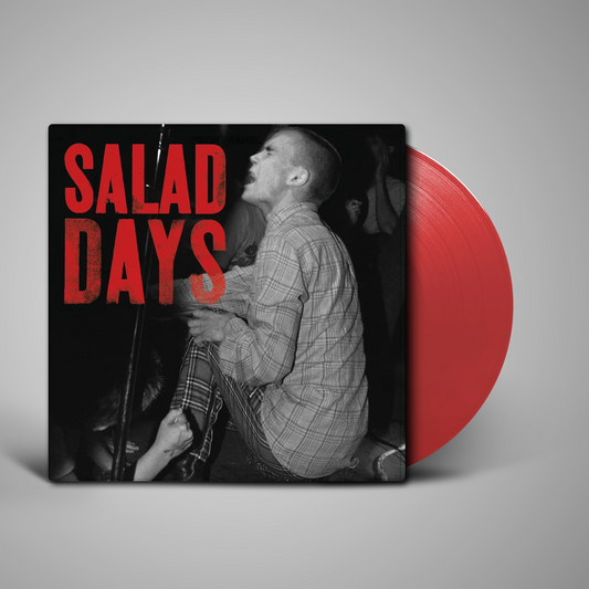 Salad Days: Music From The Documentary Film - Various Artists - RSD LP [ Record ]