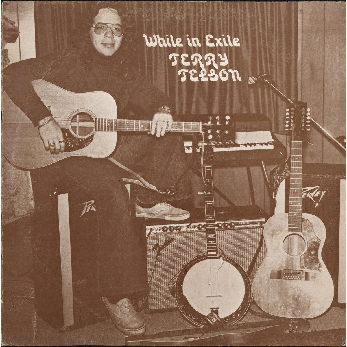 Terry Telson - While in Exile - LP [ Record ]