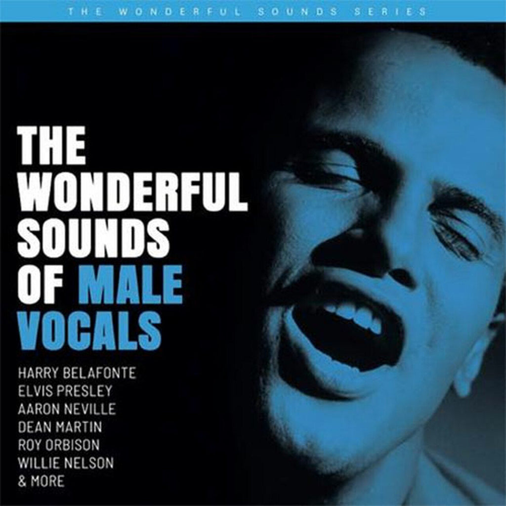 Various Artists - The Wonderful Sounds Of Male Vocals - Analogue Productions SACD [ Record ]