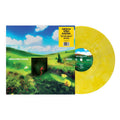Rainbow Kitten Surprise - bones - Indie LP [ Record ]