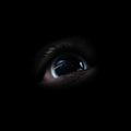 Roger Waters - The Dark Side of the Moon Redux - Box Set [ Record ]