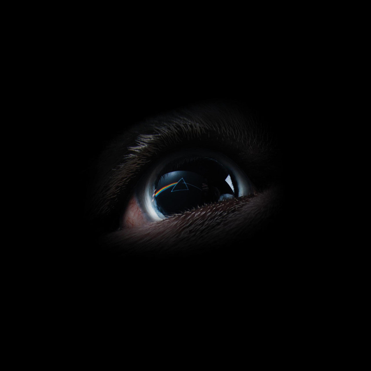 Roger Waters - The Dark Side of the Moon Redux - Box Set [ Record ]
