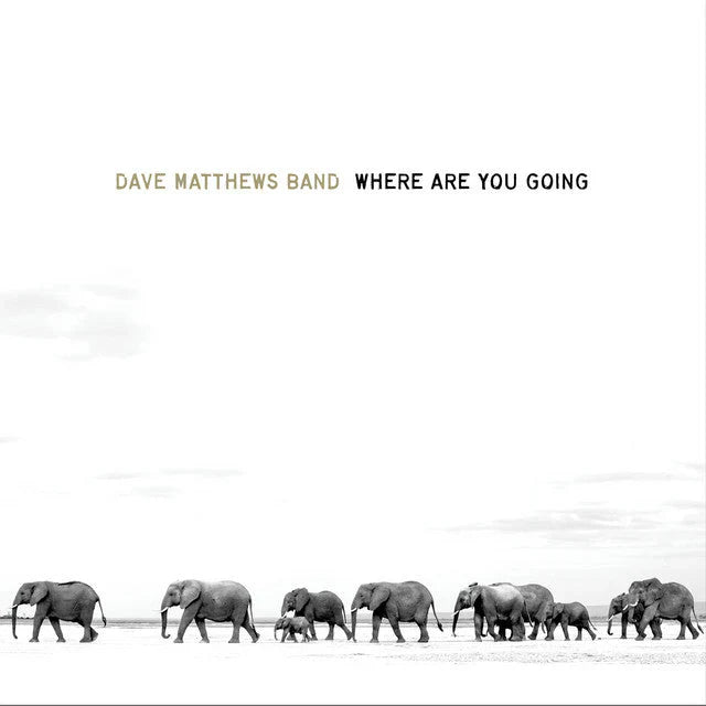 Dave Matthews Band - Where Are You Going: The Singles - LP [ Record ]