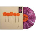 L.S. Dunes - Past Lives - Indie LP [ Record ]
