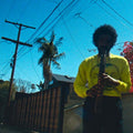 Andre 3000 - Moving Day - LP [ Record ]