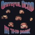 Grateful Dead - In The Dark - LP [ Record ]