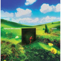 Rainbow Kitten Surprise - bones - LP [ Record ]