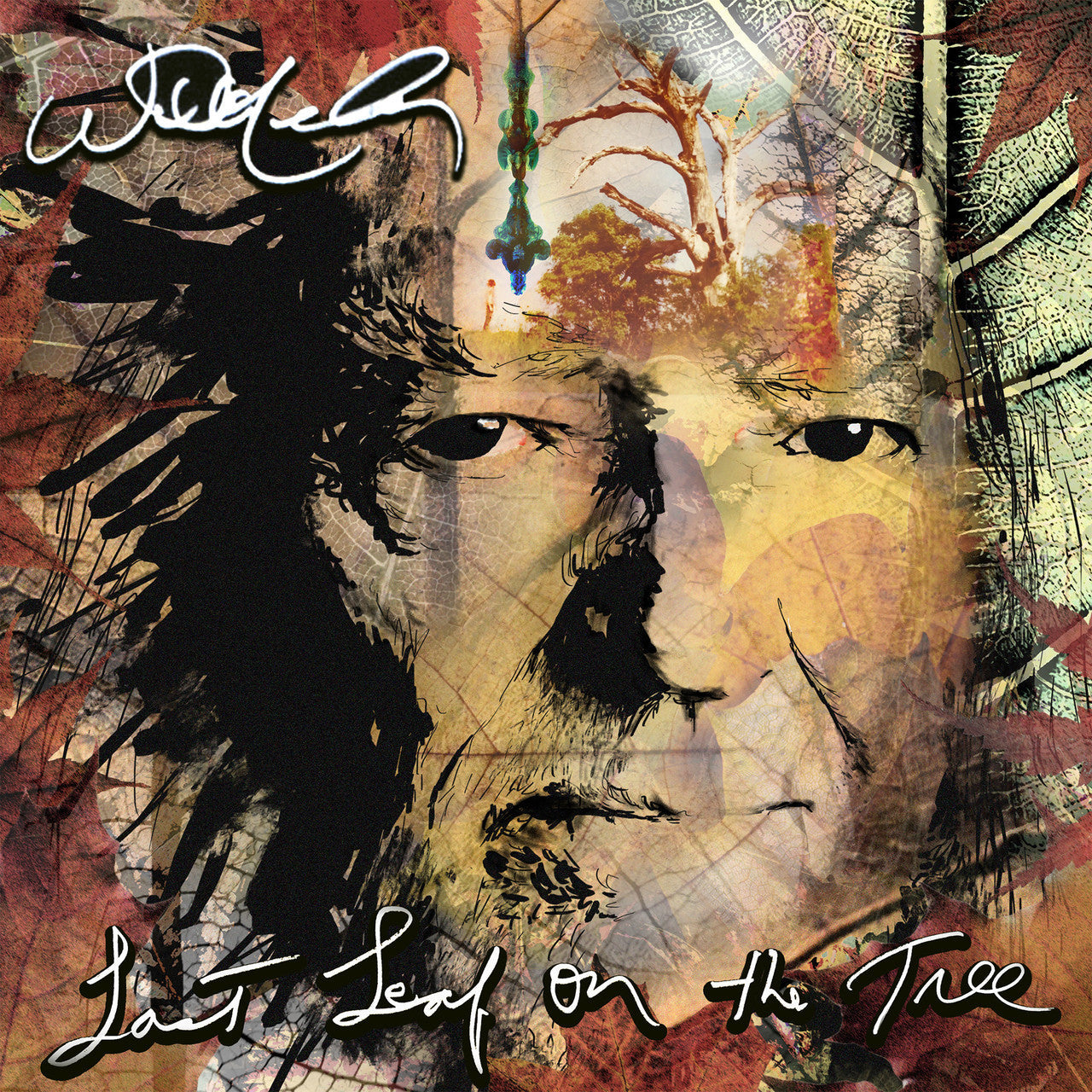 Willie Nelson - Last Leaf on the Tree - LP [ Record ]