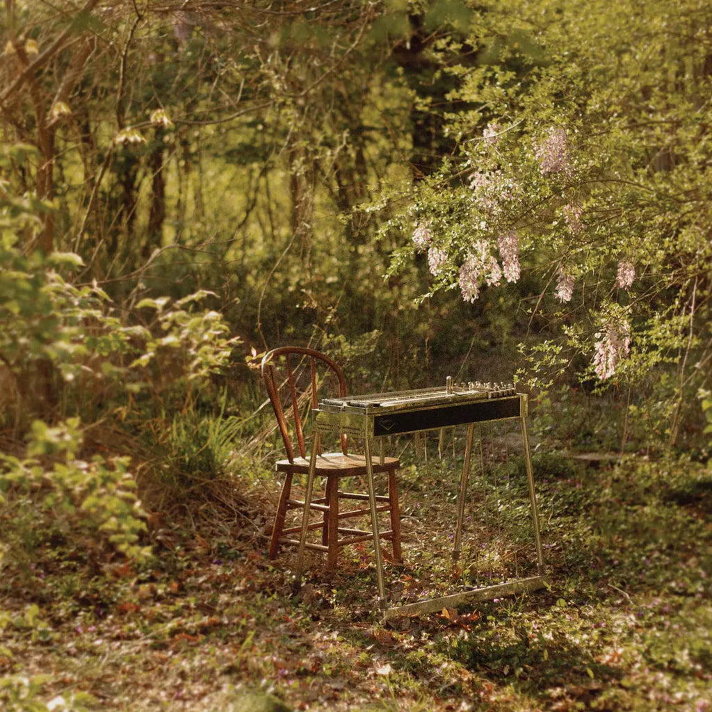 Luke Schneider - For Dancing In Quiet Light - 12" EP [ Record ]