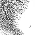 Wilco - Sky Blue Sky - LP [ Record ]